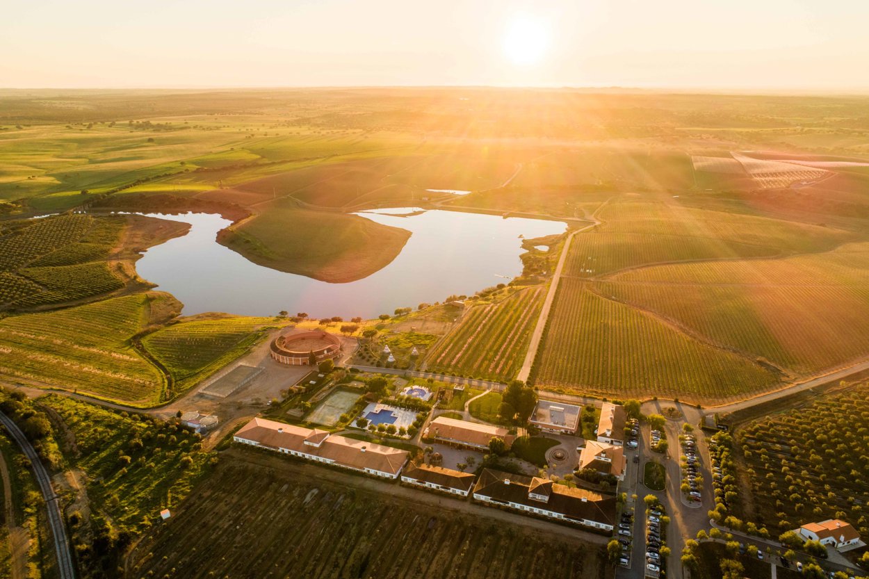 Hotel Vila Galé Alentejo Vineyards - Vista Aérea